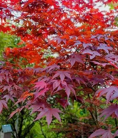 Appartement Spacious Near Bascarsija - Free Parking *