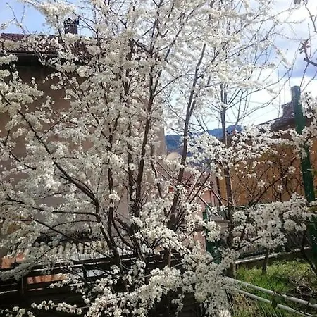 Spacious Near Bascarsija - Free Parking Lägenhet Sarajevo