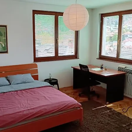 Apartment Spacious Near Bascarsija - Free Parking