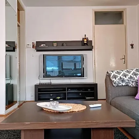 Spacious Near Bascarsija - Free Parking 塞拉耶佛