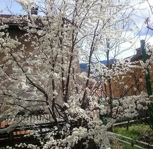 Spacious Near Bascarsija - Free Parking Lejlighed Sarajevo